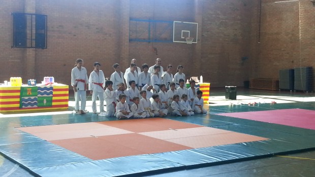 Torneo Judo