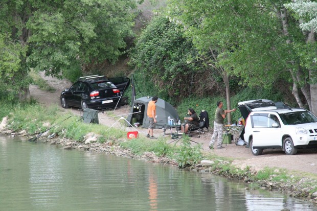 Social CArpfishing