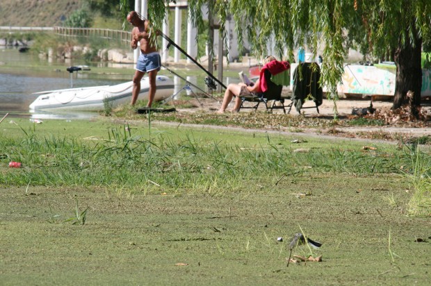Islote embarcadero