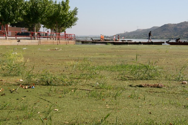 Islote Embarcadero
