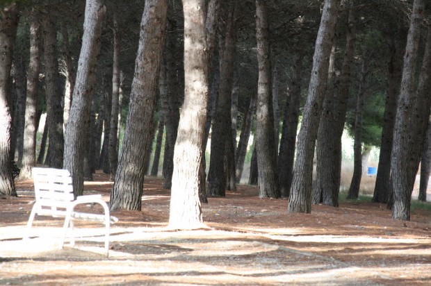 I Cross ‘Villa de Mequinenza’