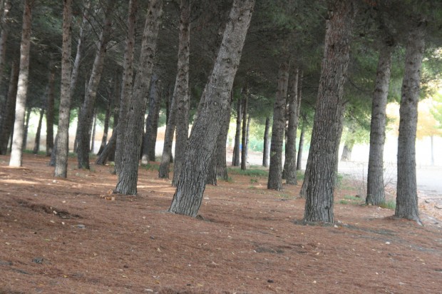 I Cross ‘Villa de Mequinenza’
