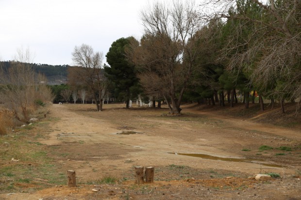 Acondicionamiento de los márgenes de los ríos Segre y Ebro