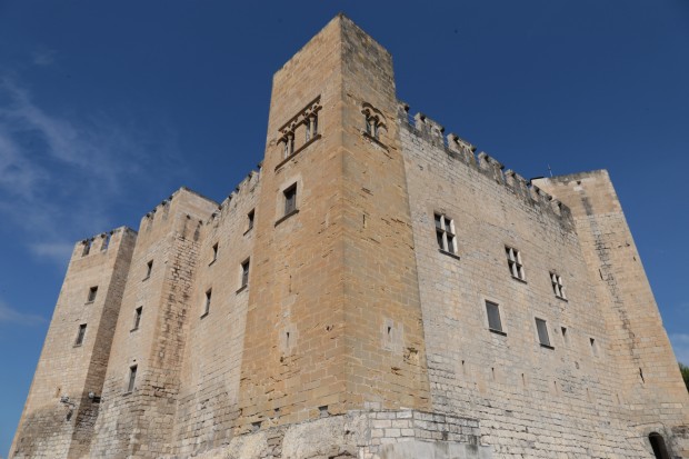 Castillo Mequinenza