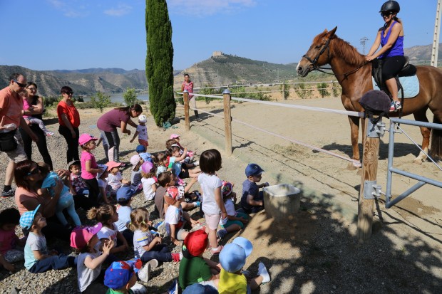 Visita a la cuadra Red Horse
